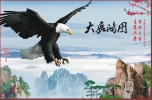 雄鹰展翅图