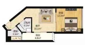奇葩户型图-1